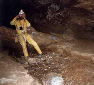 Rote Pumpe - Vermessung im "Jurassic
Park" bei 200 Tiefe � U. Franz